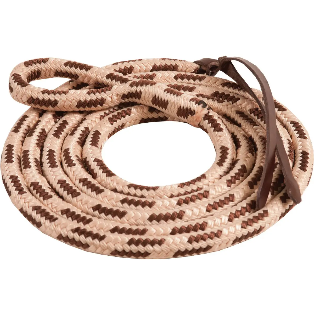 Eye Slide Lead Rope 2