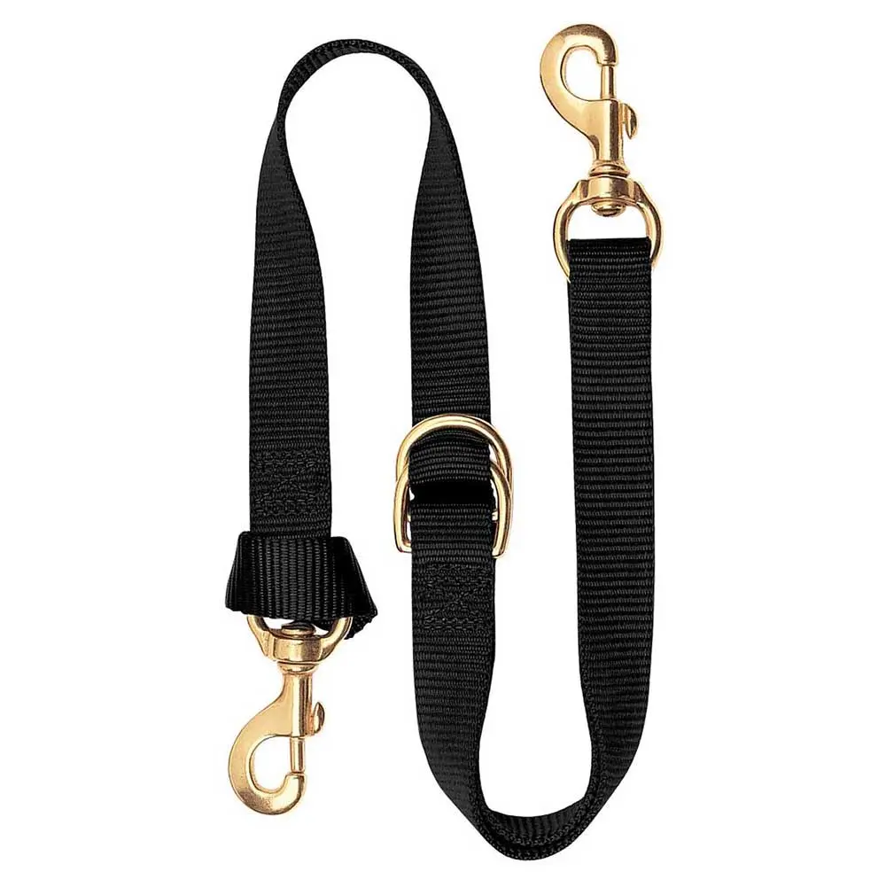 Nylon 1" Tie Down Strap 1