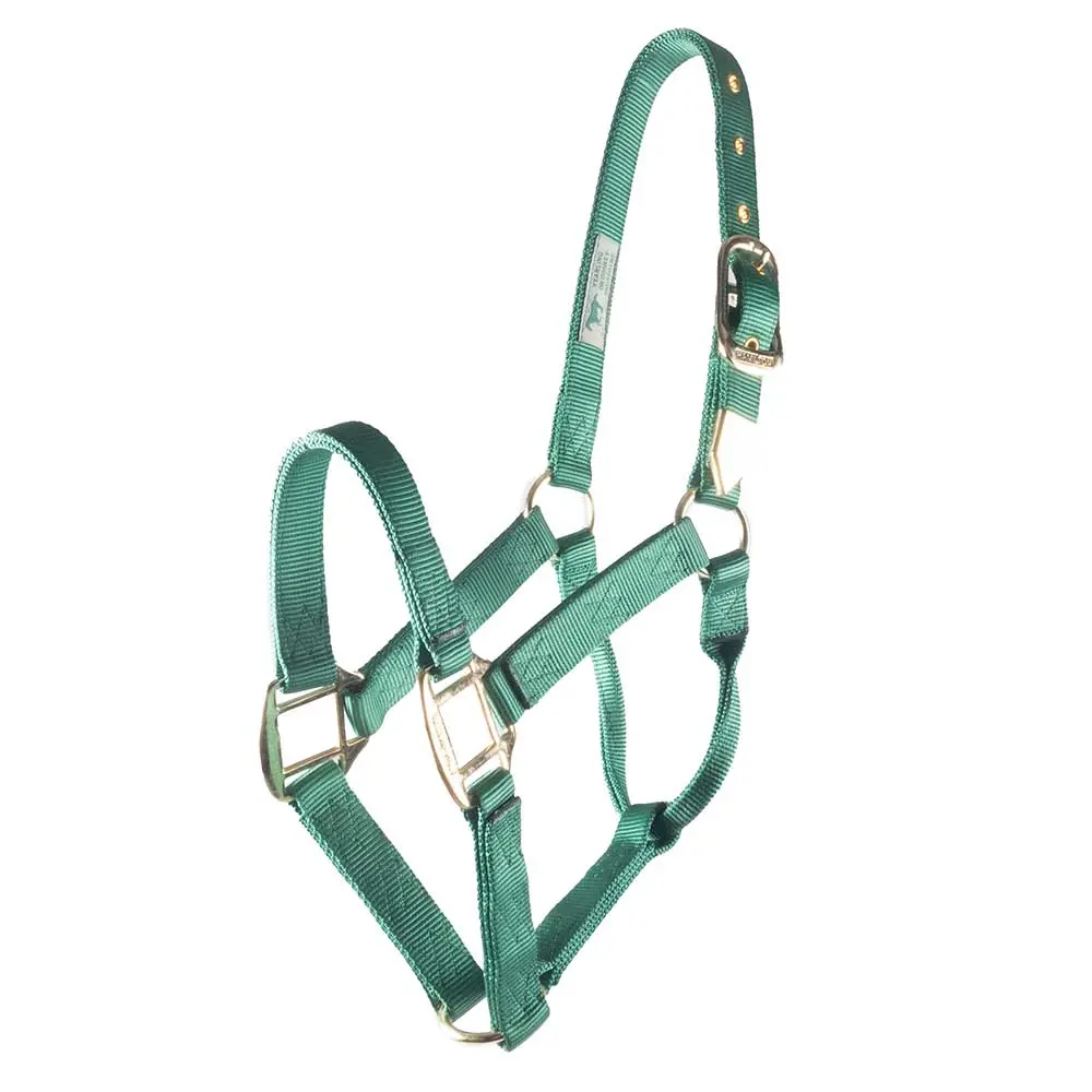 Hamilton 1" Deluxe Nylon Halter 1