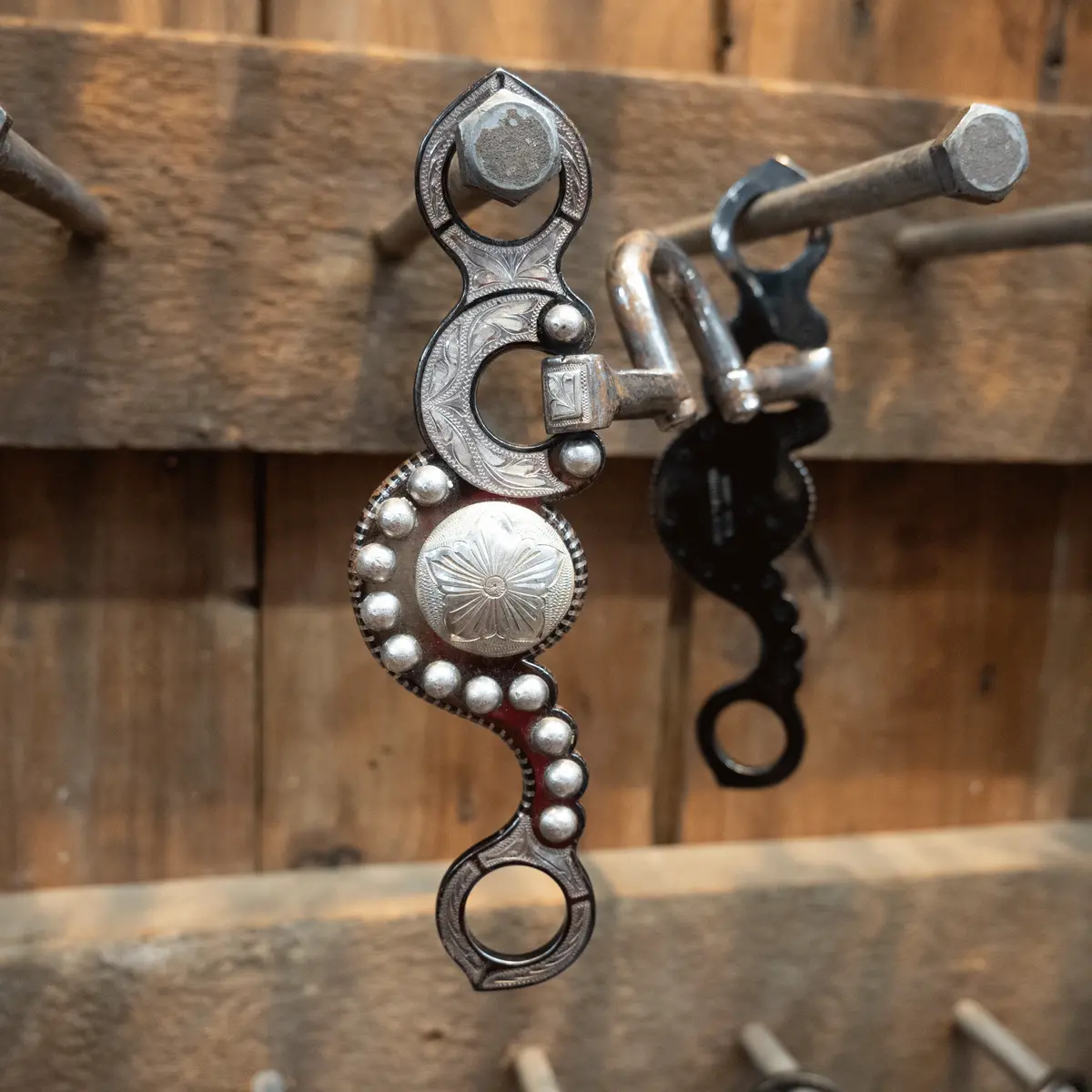 Sunny Silva Silver Mounted Correction Bit 1