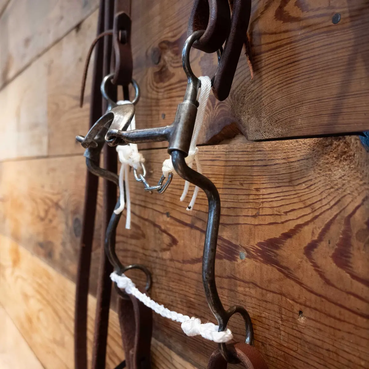 Daryl Davis Loose Port Bridle Rig 1