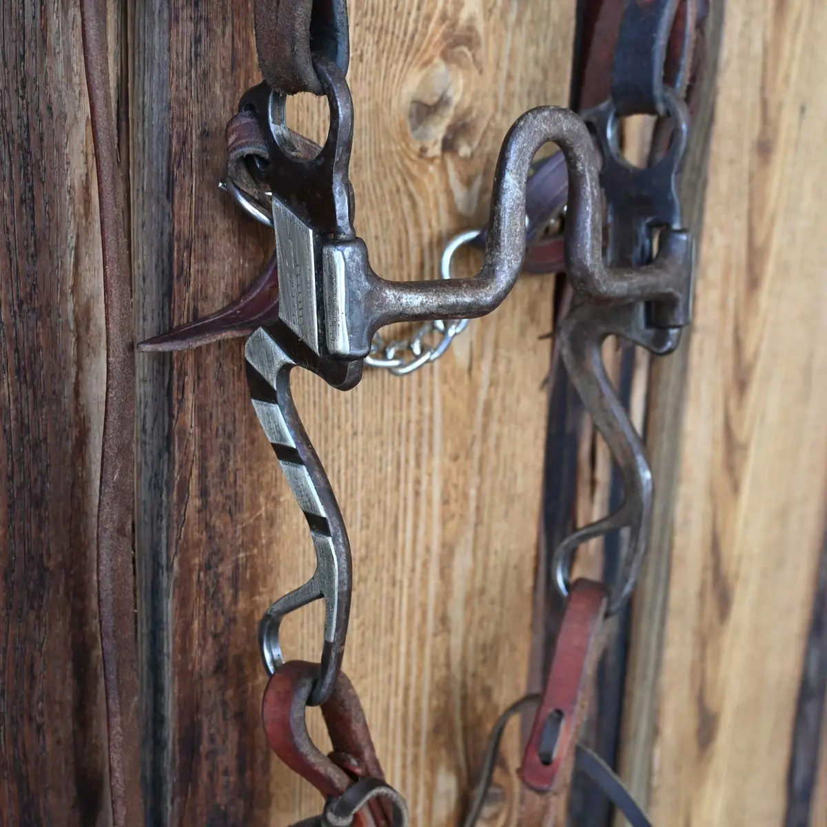 Jeff Payne Solid Port Bridle Rig W/Browband Headstall 1