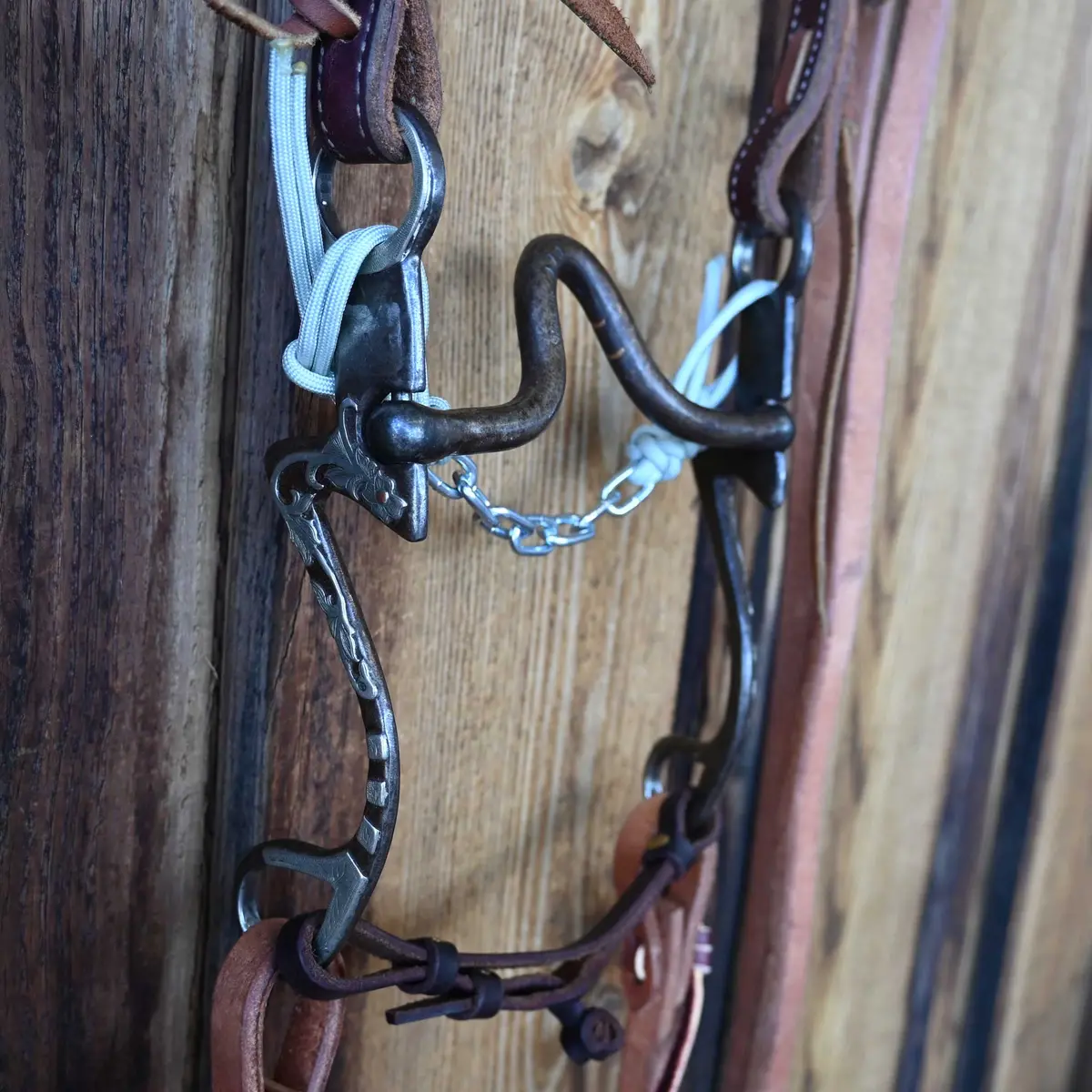 Jason Sinclair Solid Port Bridle Rig W/Split Ear Headstall 1