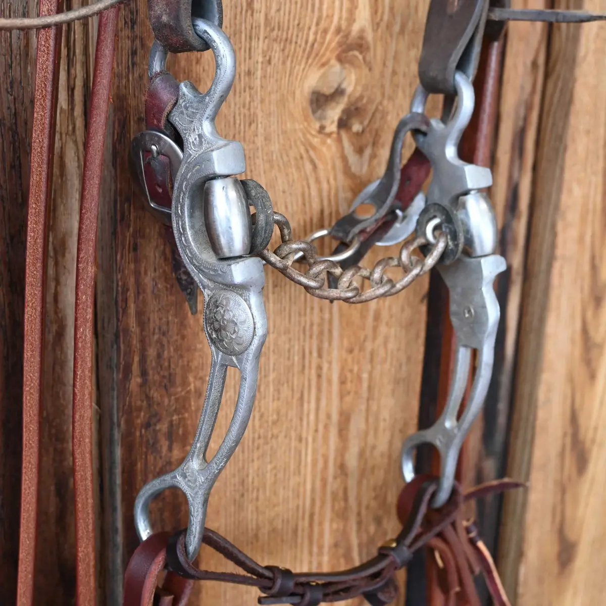 Rockin' P Chain Bridle Rig W/Split Ear Headstall 1