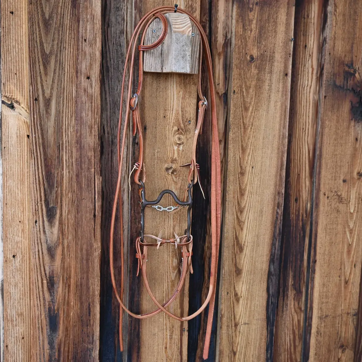 Solid Port Bridle Rig W/All New Leather 1