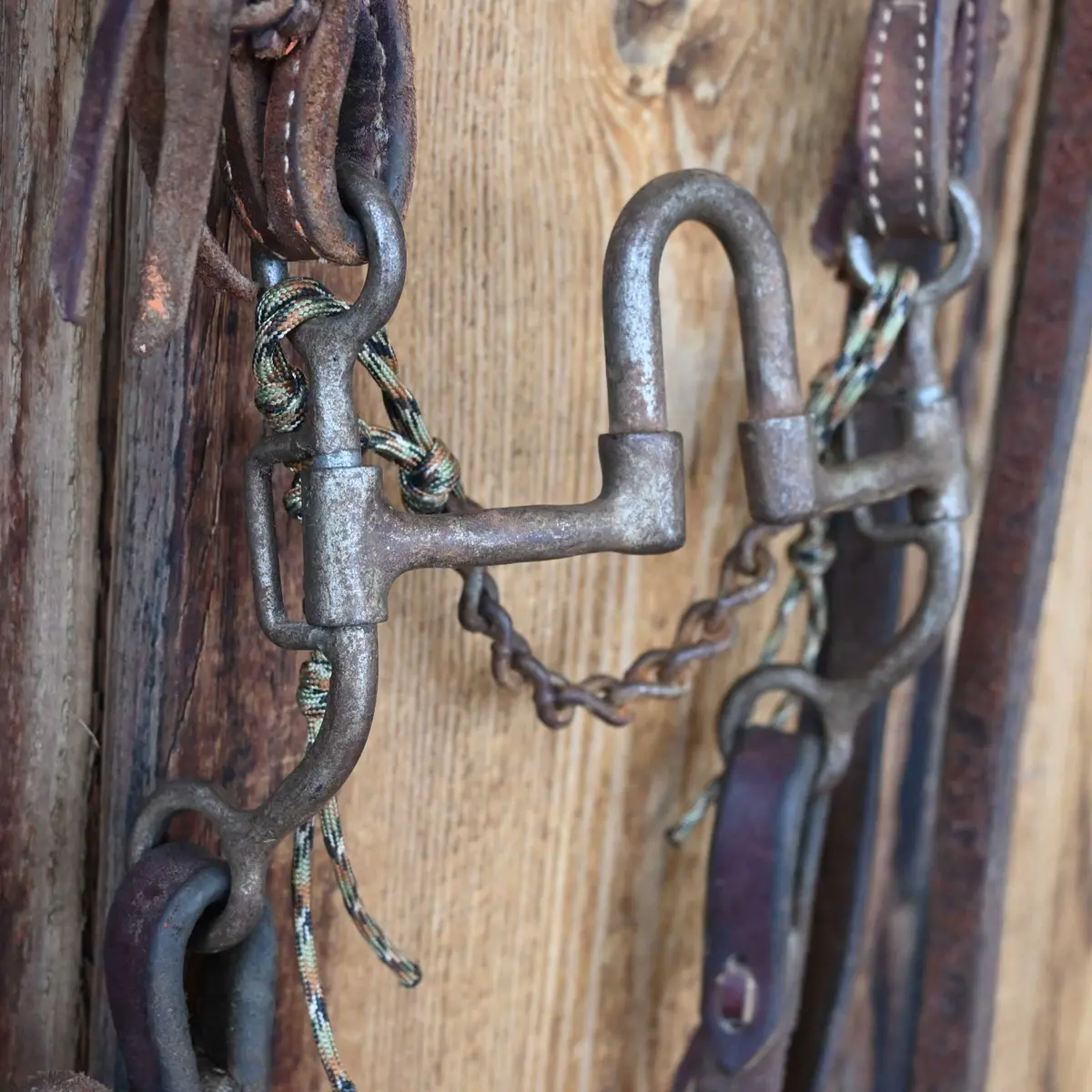 Paul Lamb Correction Bridle Rig W/Split Ear Headstall 1