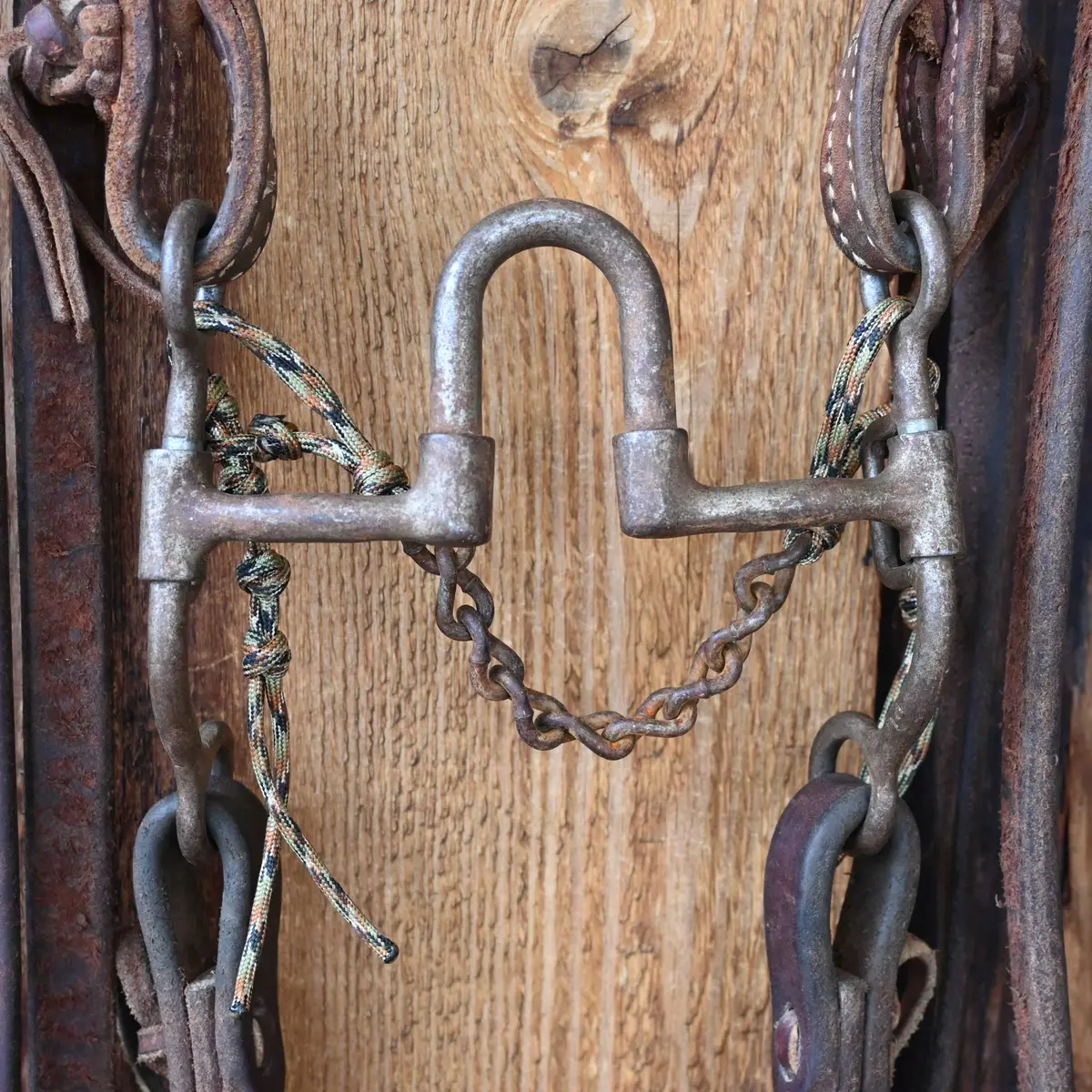Paul Lamb Correction Bridle Rig W/Split Ear Headstall 2
