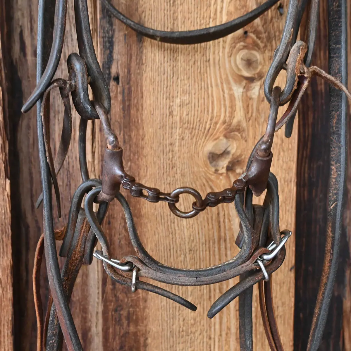 D-Ring Bike Chain Lifesaver Bridle Rig W/Browband Headstall 1