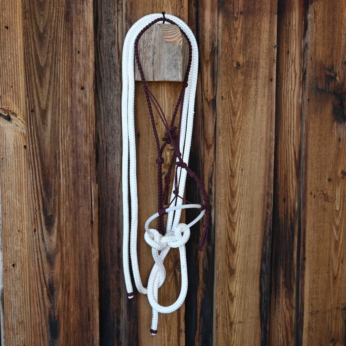 Loping Hack W/ Crowsfoot Headstall 1