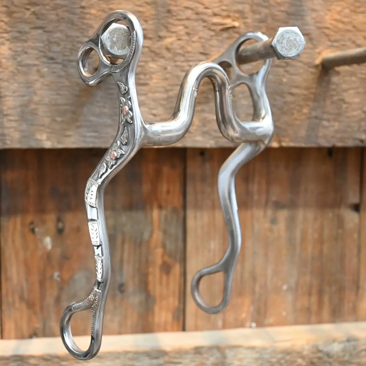 Ricky Trammell Silver Mounted Solid Port Bit 1