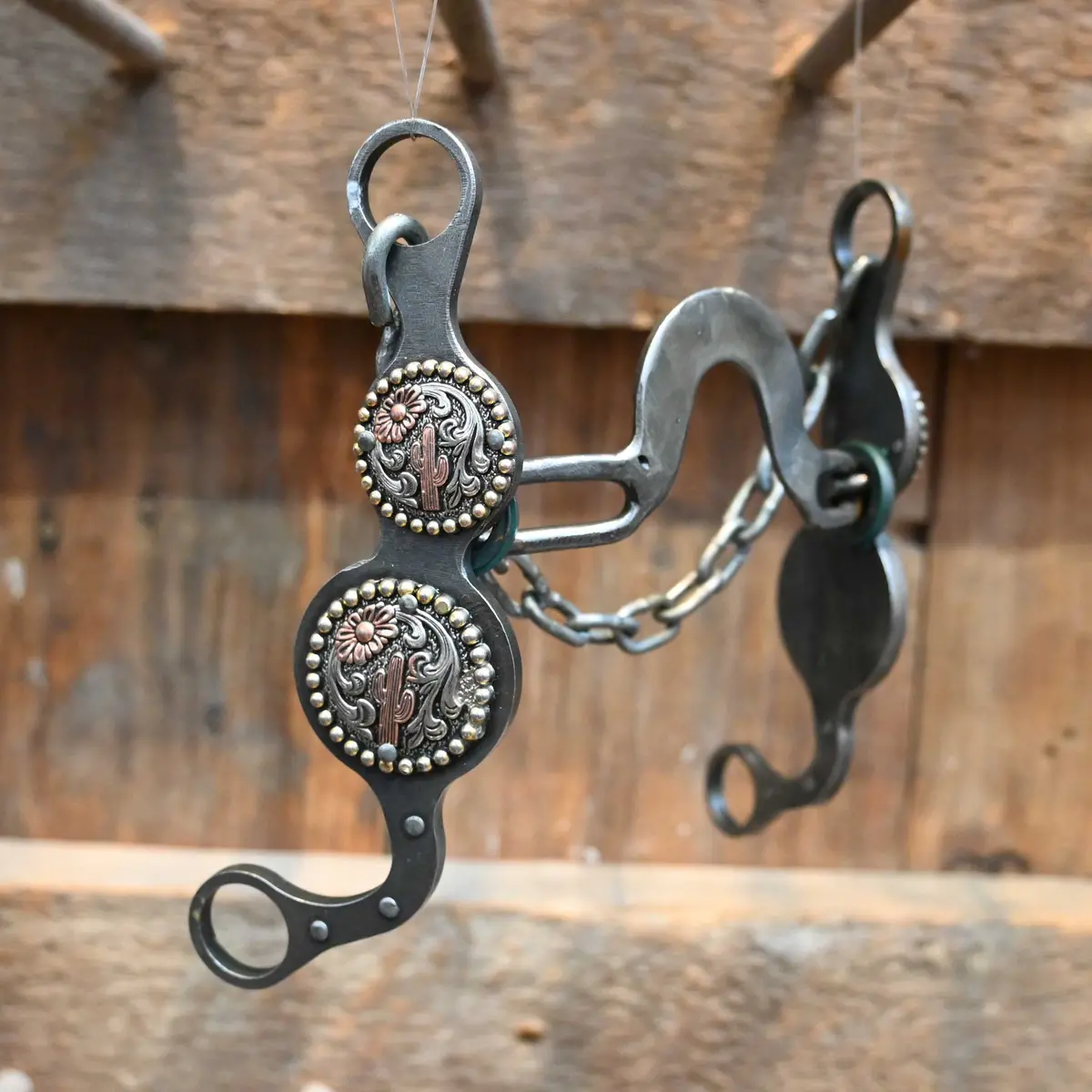 Paul Petska Washer Port Bit W/Copper Cactus Conchos 1