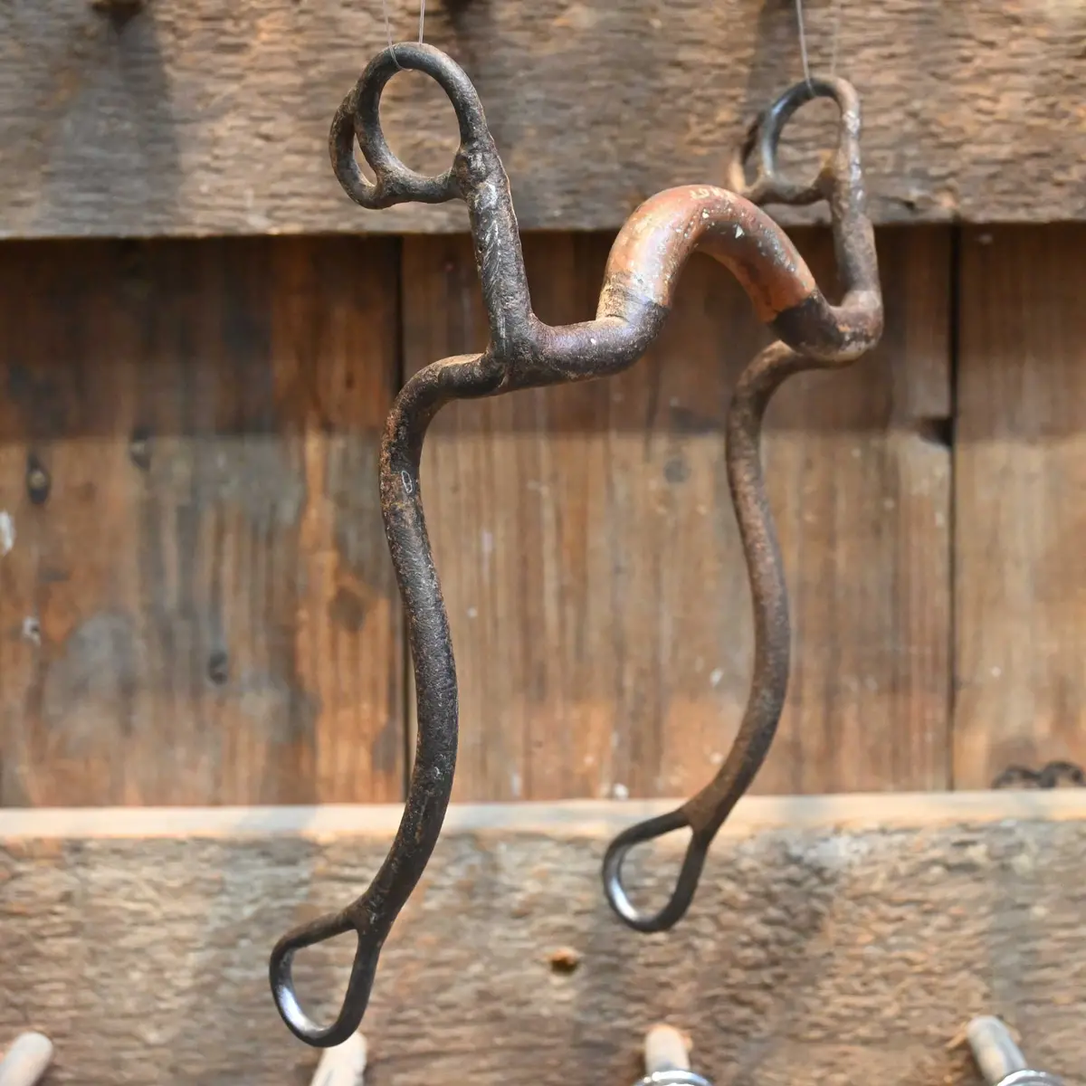 John Israel Copper Port Bit 1