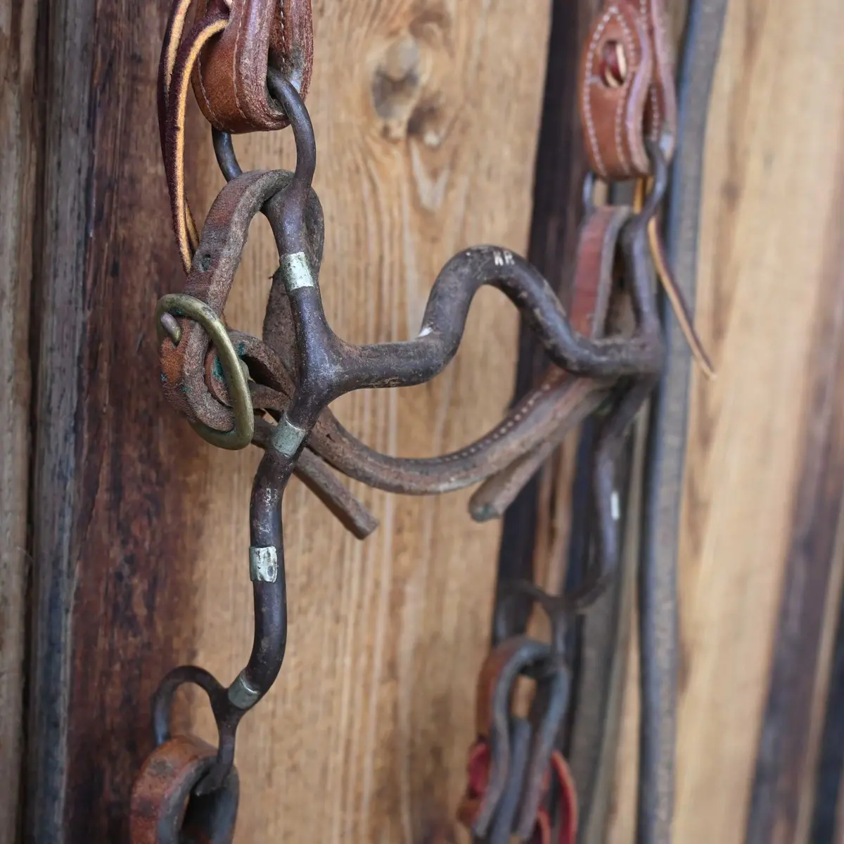 Kurtis Rudelbach Solid Port Bridle Rig W/Split Ear Headstall 1