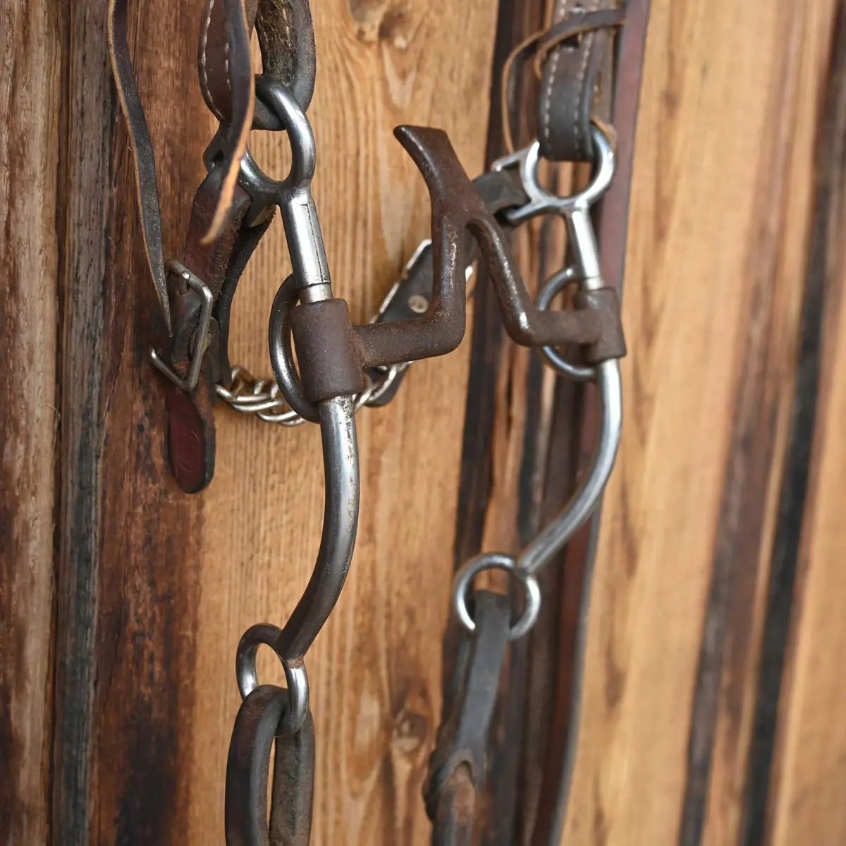 Jim Edwards Cathedral Bridle Rig W/Single Ear Headstall 1