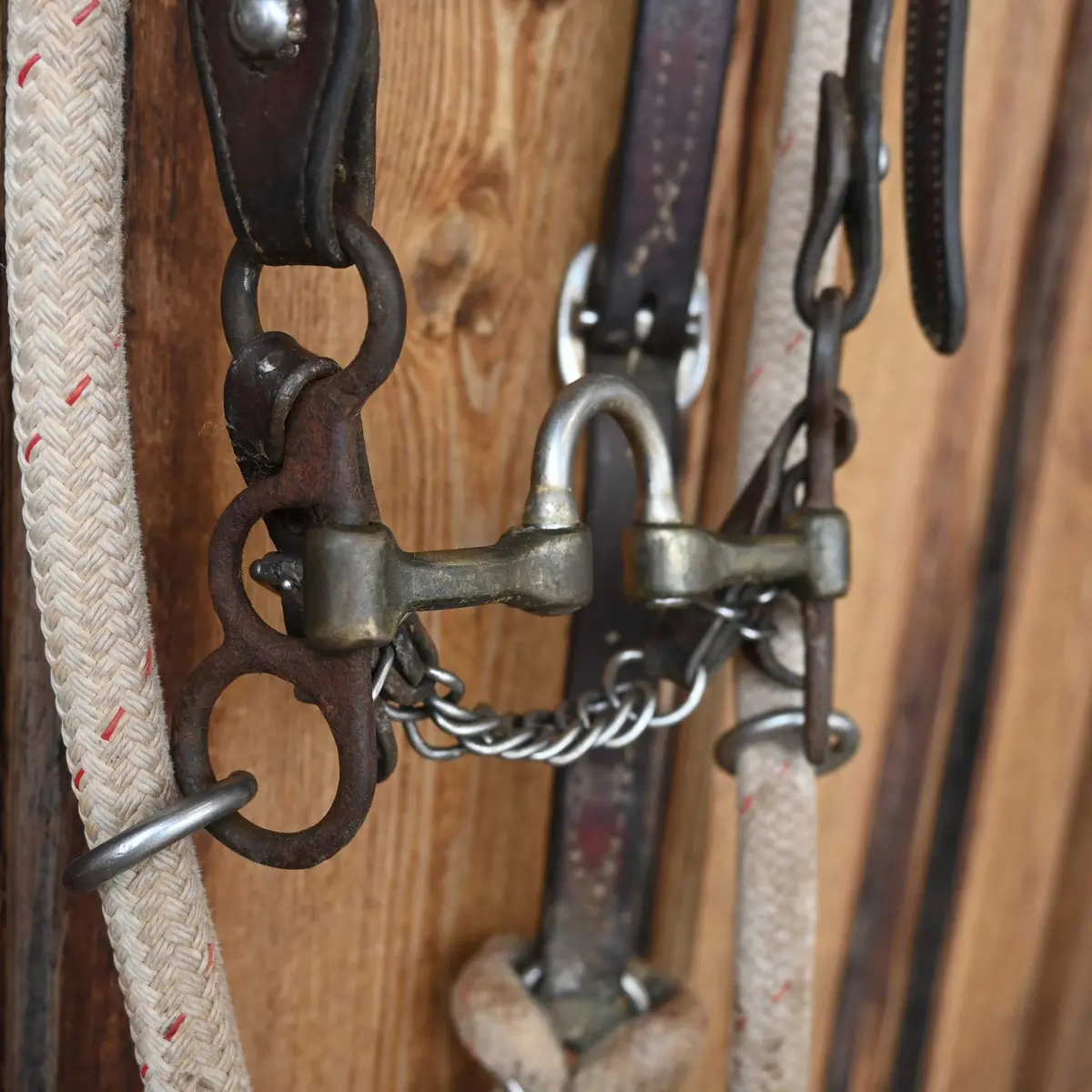Cow Horse Supply Correction Bridle Rig W/Draw Reins 1