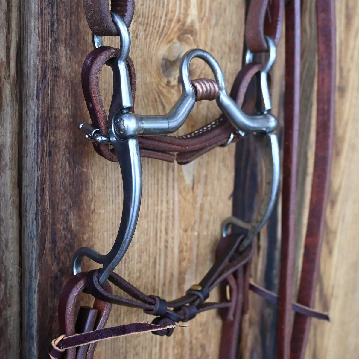 Kerry Kelley 65 144 Bridle Rig W/All New Leather 1