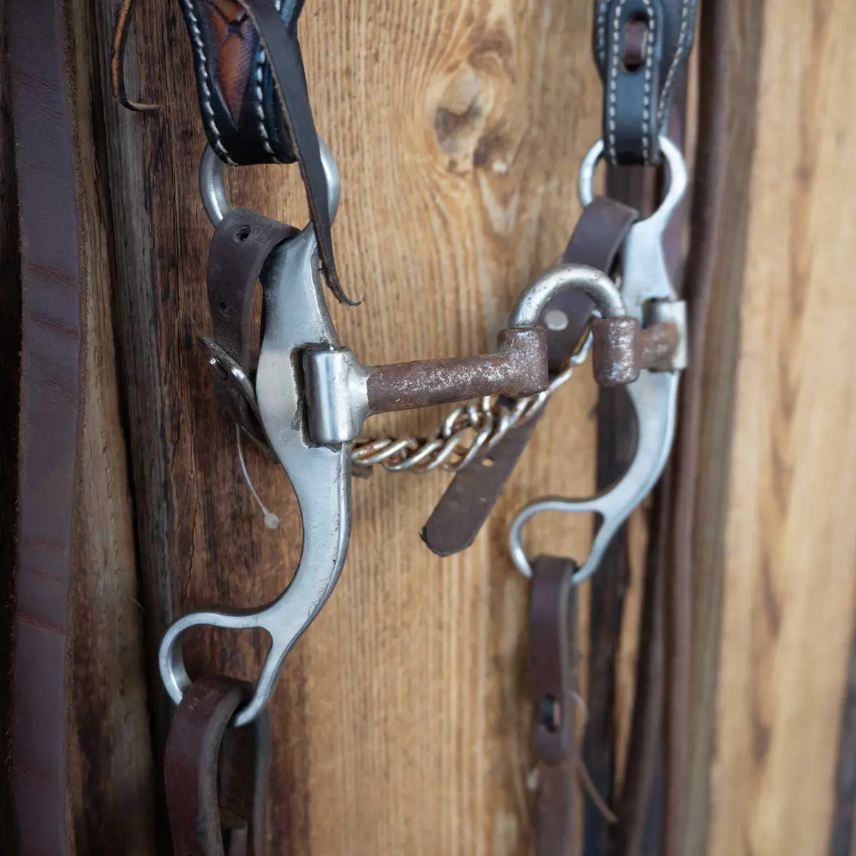 Classic Equine Correction Bridle Rig W/Single Ear Headstall 1
