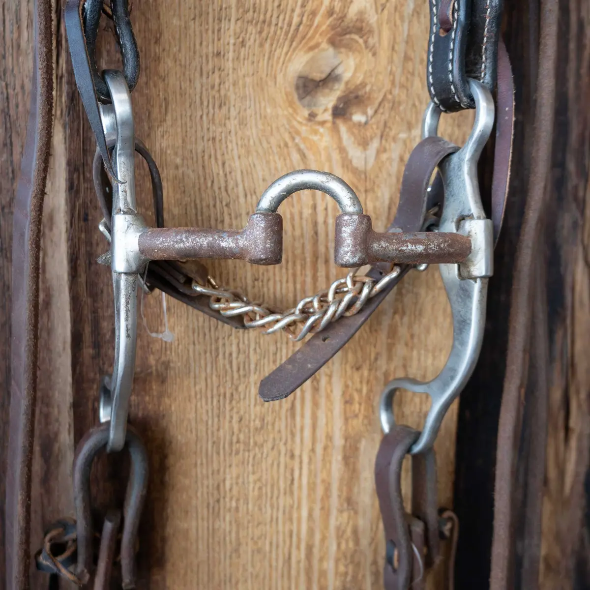 Classic Equine Correction Bridle Rig W/Single Ear Headstall 2