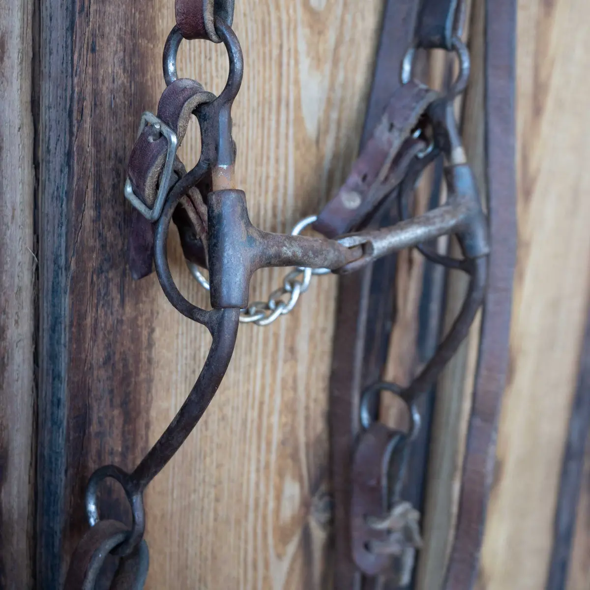 Smooth Snaffle Bridle Rig W/Browband Headstall 1