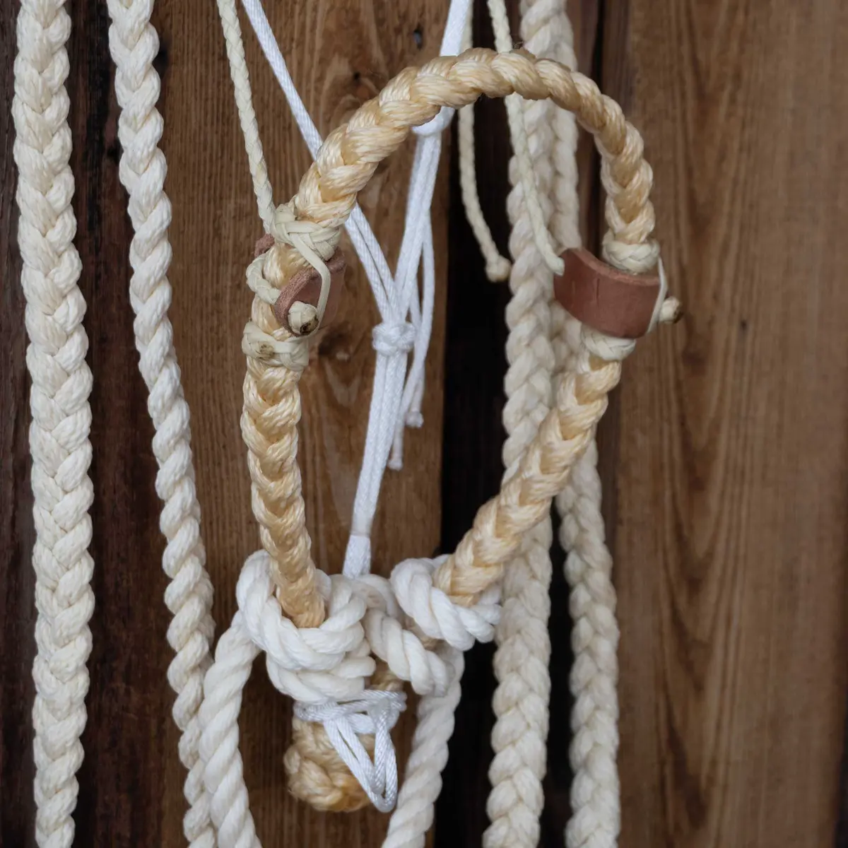 Levi Jones Hackamore W/Nylon Split Reins 1