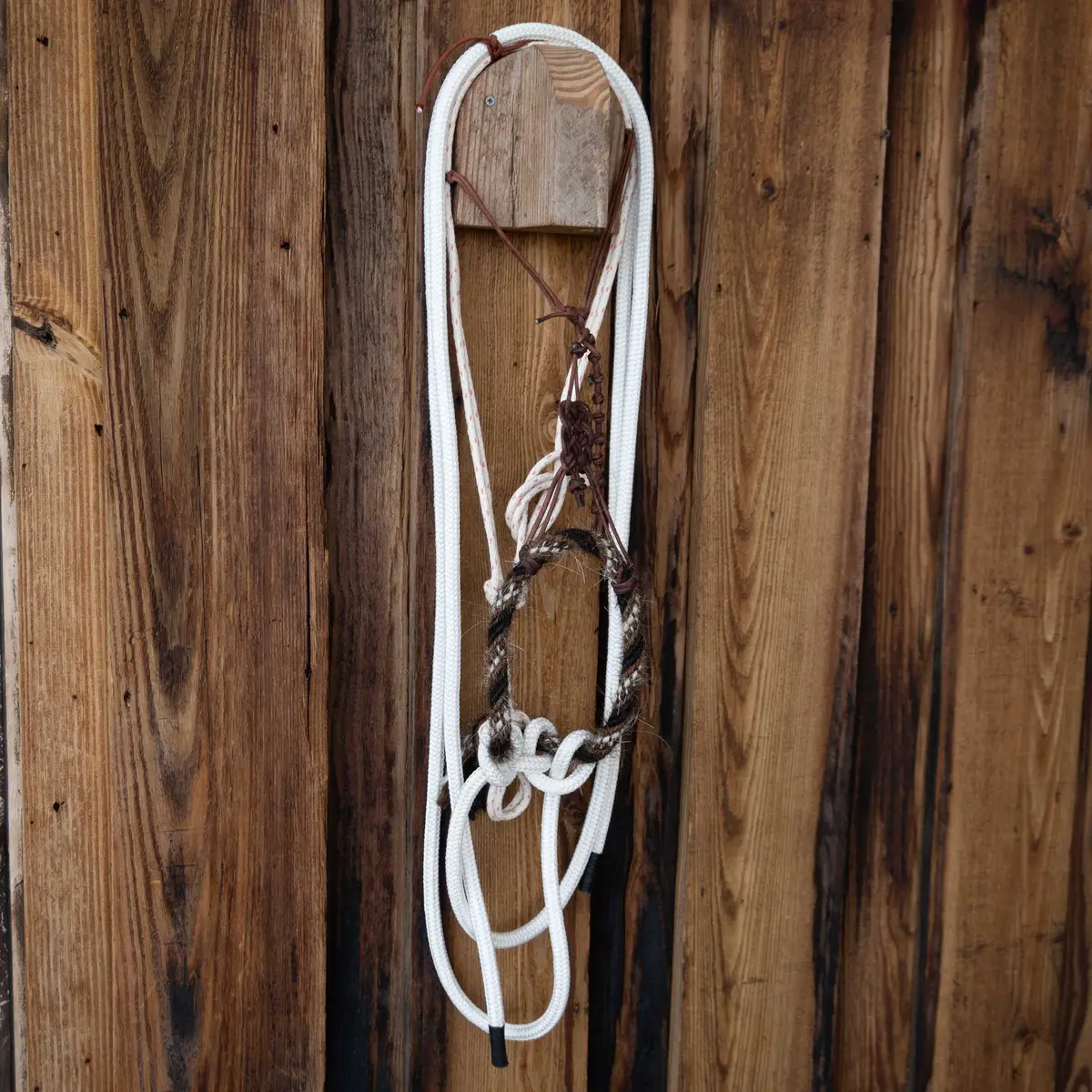 Sam Hall Hackamore W/Crowsfoot Headstall 1