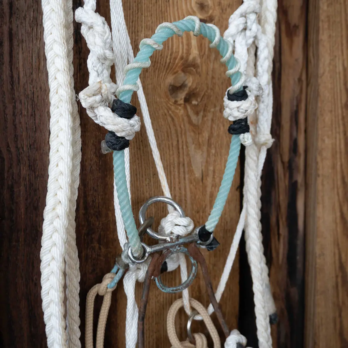 Quick Stop Hackamore W/Lariat Poll Headstall 1