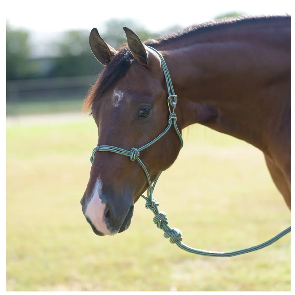 Professional's Choice Easy On Rope Halter W/Lead 1