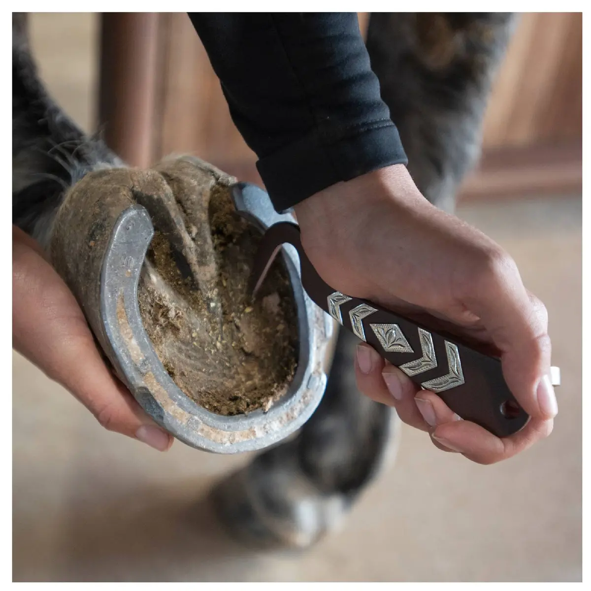 Cashel Hoof Pick 1