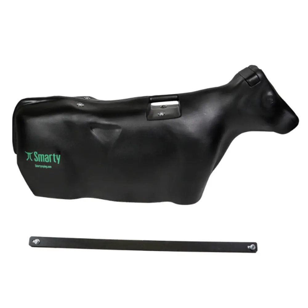 Smarty Conversion Kit 1