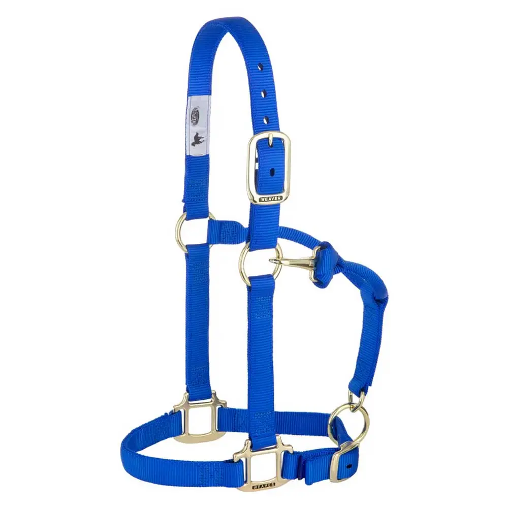 1" Adjustable Chin & Throat Snap Halter For Weanling/Pony 2