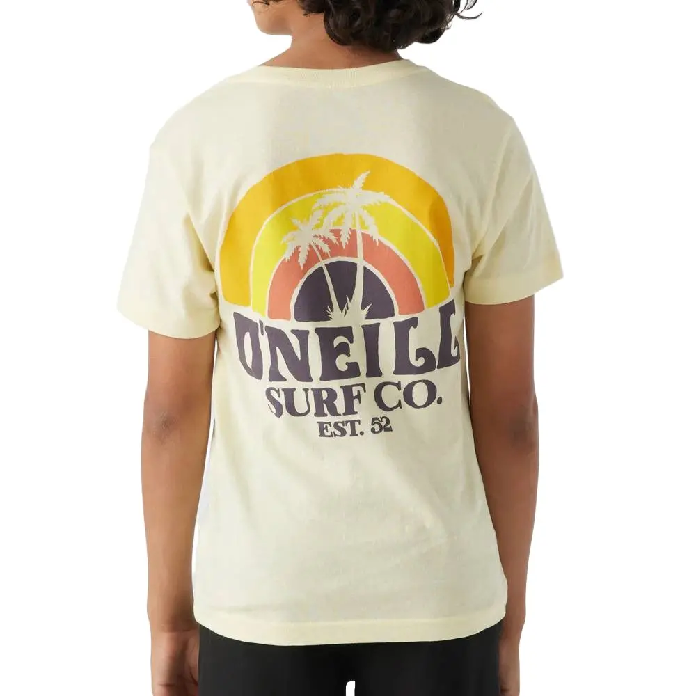 *O'neill Boy's Shaved Ice Tee - Final Sale - Large 1