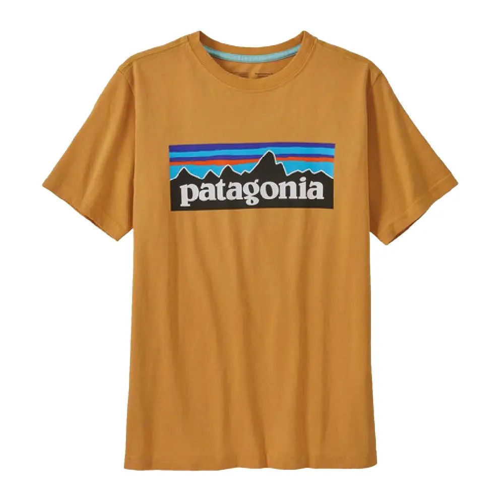 Patagonia Youth Organic P-6 Logo Tee 1
