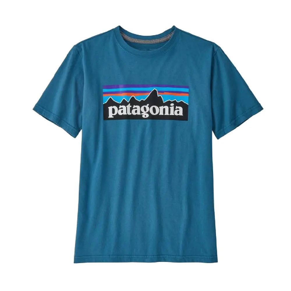 Patagonia Youth Organic P-6 Logo Tee 1