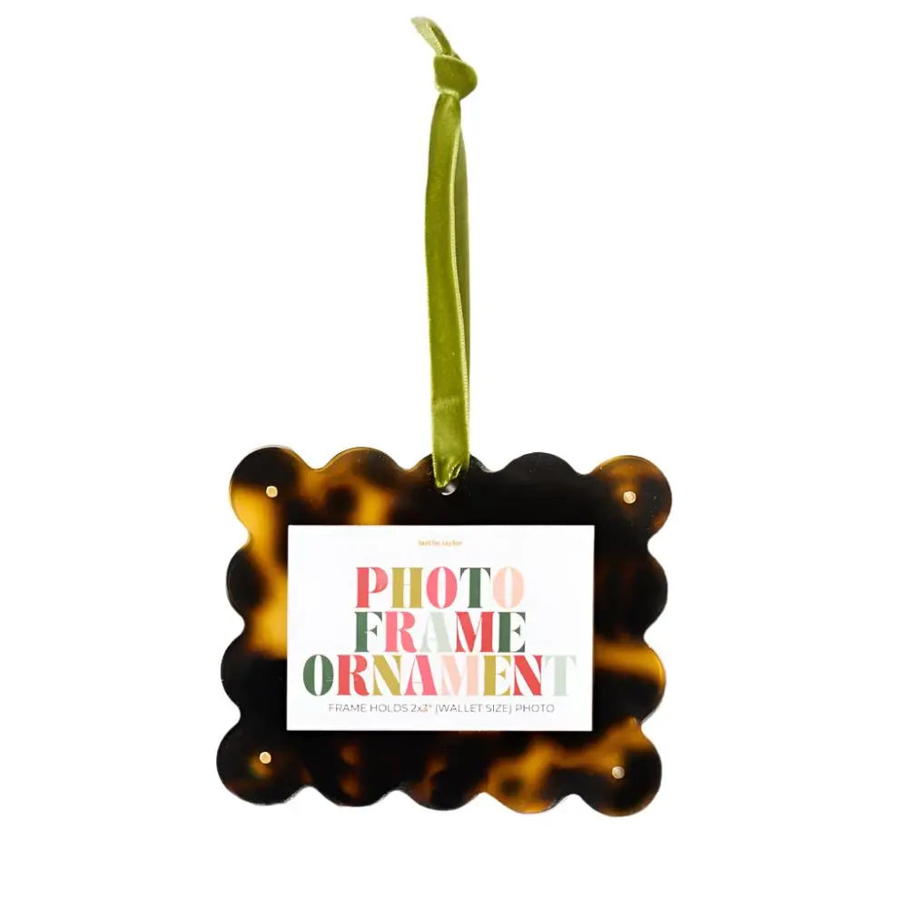 Tortoise Mini Photo Frame Ornament 1